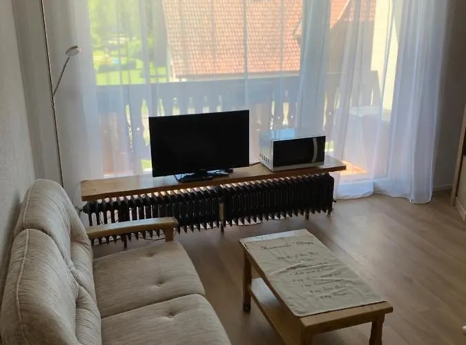 Black Forest شقة Herrischried